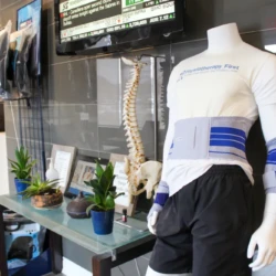 Mannequin in a clinic showroom wearing a white T-shirt and blue lumbar support belt, with potted plants on a glass table behind.