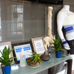 Mannequin wearing a back brace and leg supports on display in a clinic showroom, with a spine model and plants on a glass table.